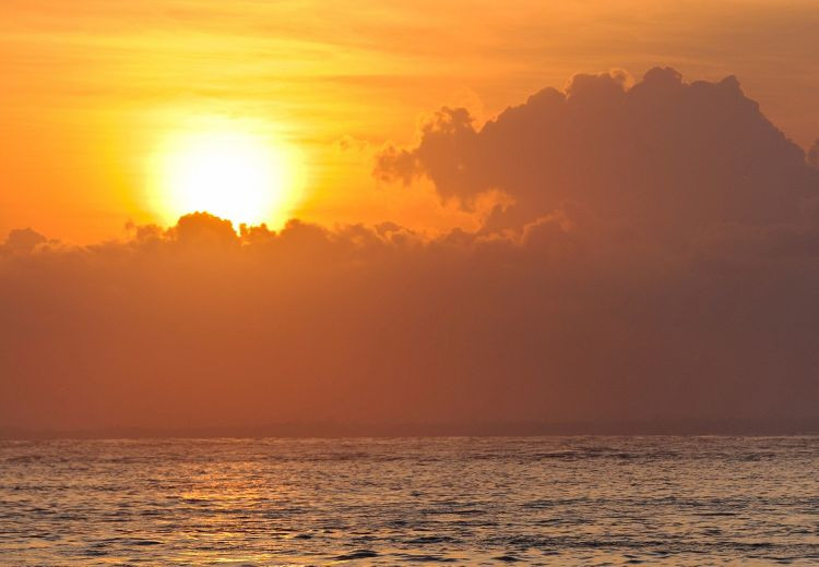 aristocat_evening_cruise_6_1.jpg
